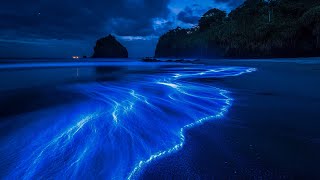 Unwind to the Best Ocean Sounds – Rolling Waves for Deep Sleep and Stress-Free Nights