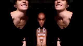 CUT CHEMIST- WHAT'S THE ALTITUDE.