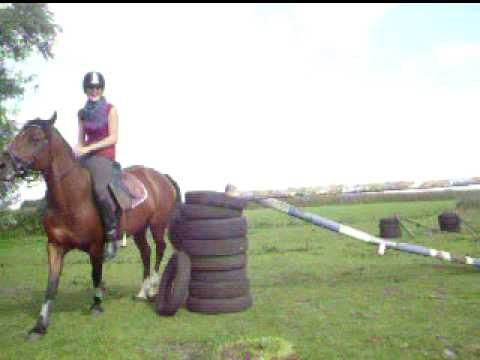 THE BLOOPEERR FROM 12-09-'09