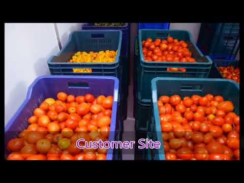 Vegetables Chiller Rooms