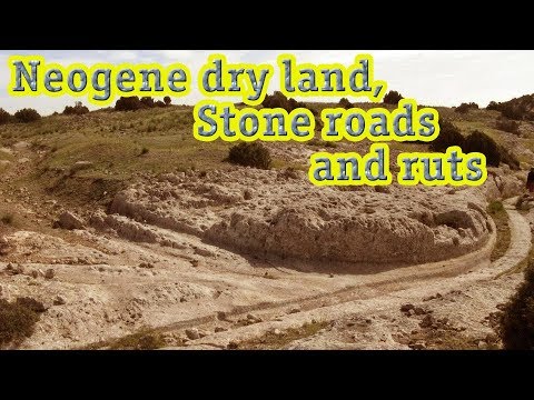 The global network of Neogene roads: Neogene land and petrified roads and ruts