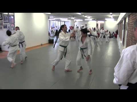 Kihon Waza AYNSW Annual Demo 2013
