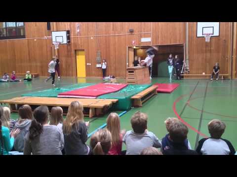 storsamling i ockelbo [HamsterDancers