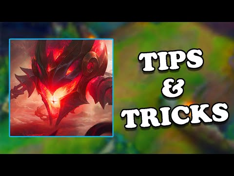 The Only Vel'Koz Guide You Will Ever Need!