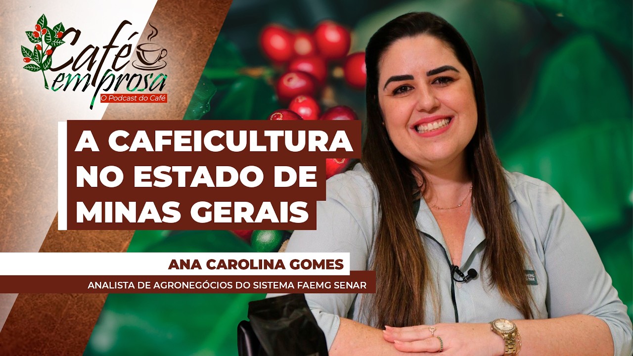 O potencial e os desafios de Minas Gerais, o Estado que mais produz café no paí