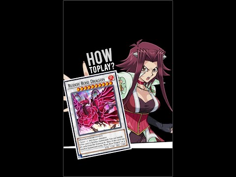 Yugioh Duel Links - THIS is How Akiza uses Ruddy Rose Dragon!