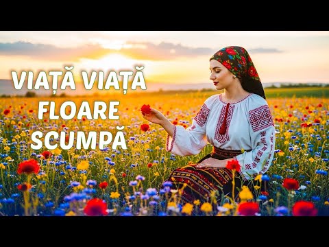 Harap - Viață viață floare scumpă 