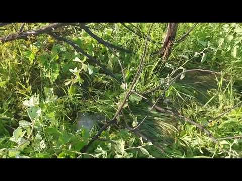 DENUNCIA: Atenção CAERN, 8 dias sem água na comunidade Santa Rita em Jucurutu