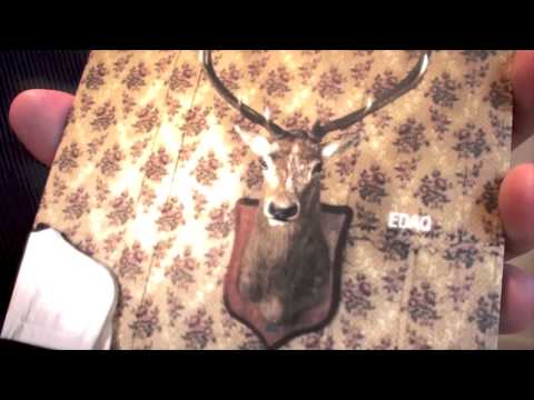 OptiMusic - Dalla parte del cervo, Edaq