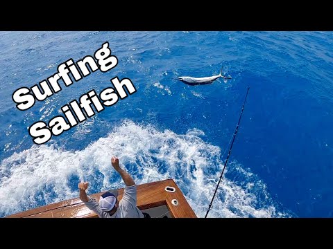 SURFING SAILFISH! Epic SIGHT FISHING with 18 releases