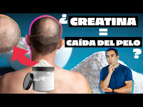 Creatina y Calvicie
