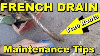 French Drain - Get the Roots Out - Cleaning Tips
