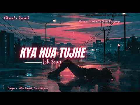 Kya Hua Tujhe ( slowed + reverb ) 🤔💕🙄 Alka Yagnik, Sonu Nigam | Hits of 2024 |