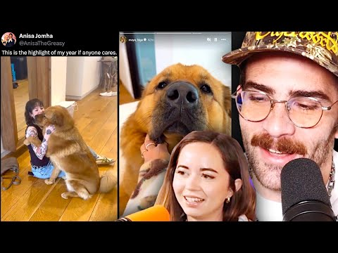 Hasan's Dog Kaya Gets Spoiled By Guests | HasanAbi Reacts (Ft. Maya Higa)