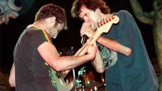 El farolito (la rubia tarada) - Los piojos