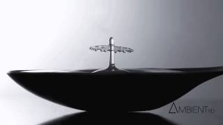 Carbon Based Lifeforms - Proton / Electron