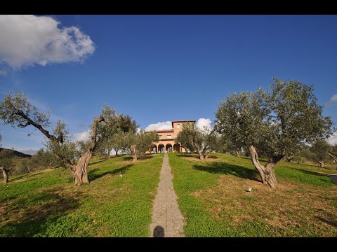 Lussuosa azienda agricola  in vendita a Massa Marittima -Toscana R0-1234