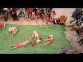 Jalai Jalai Ek Vanar Ne Lanka Jalai Karan Harsh Rohit Anuj