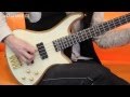 Schecter Stiletto Custom 4
