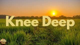 Zac Brown Band - Knee Deep (feat. Jimmy Buffett) (Lyrics)