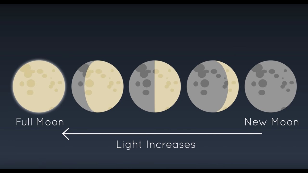 Phases of the Moon [The Moon Series, Part 1]