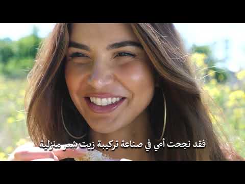 Will Gisou Come to the Rest of the Arab World?