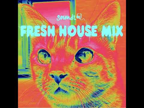 Fresh House Mix 4 by soundz - incl. tracks from Duck Sauce, Olav Basoski, Marsh, Simon Doty and more
