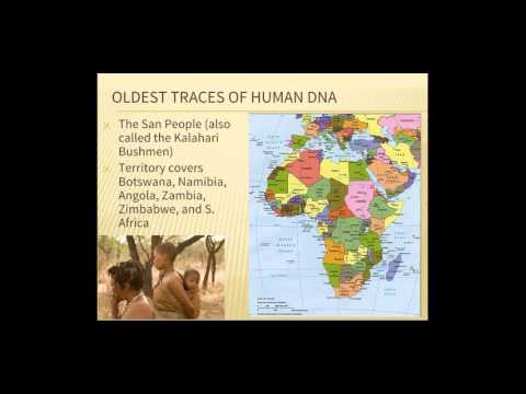 Video 1: First Humans to Neolithic Revolution