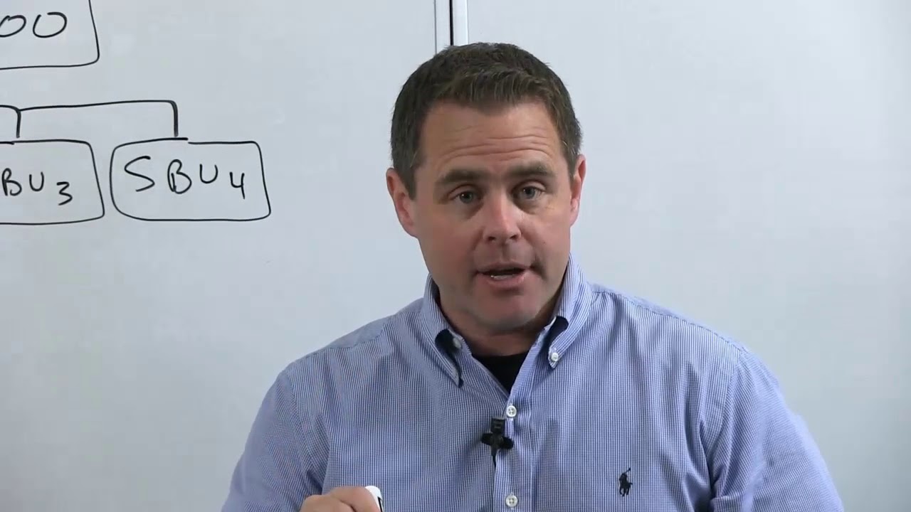 Multi Divisional Structure (M-Form)