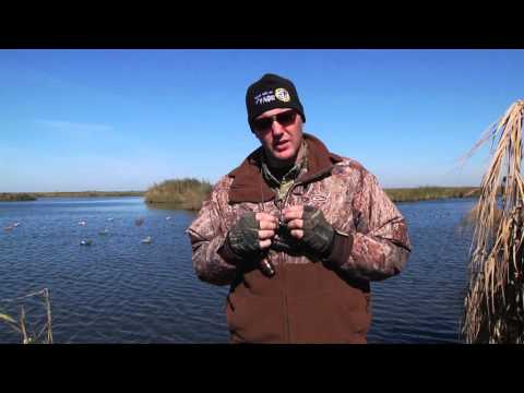 How To Call a Green Wing Teal