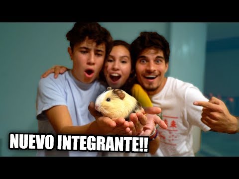 ESTE ES EL NUEVO INTEGRANTE DE DOSOGASTEAM!!