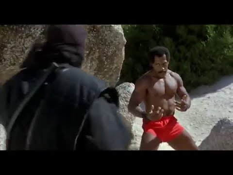 American Ninja 2   The Confrontation FULL MOVIE