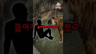 Download lagu 진짜로 호랑이 굴에 들어간 사람 mp3