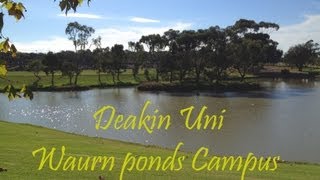 preview picture of video 'Deakin Uni, waurn ponds campus, Geelong, Australia'