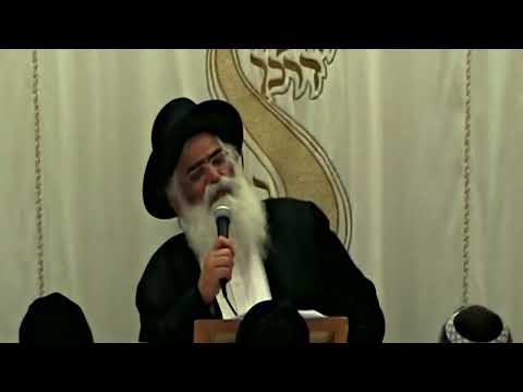 הרב יורם אברג'ל – המסר היומי – שבת המלכה – י"ד סיון תשפ"ד