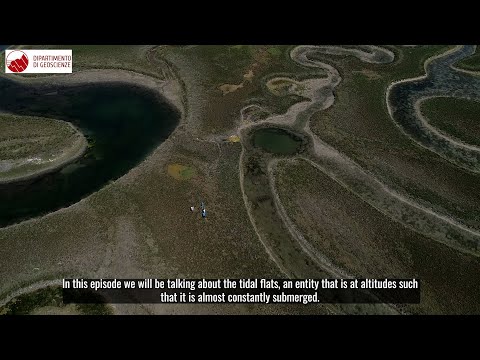Venice Lagoon: the tidal flats and their morphological evolution