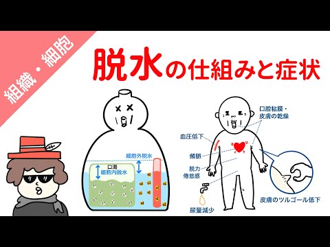 生理学的溶液について詳しく解説