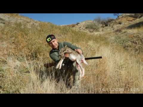 2015 TAVŞAN AVI (Partridge Hunter)  Tavşan vuruş anı