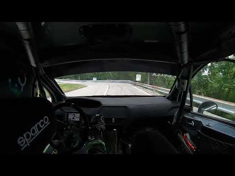 53ª VERZEGNIS SELLA CHIANZUTAN : G.CELLA Peugeot 208 R2b