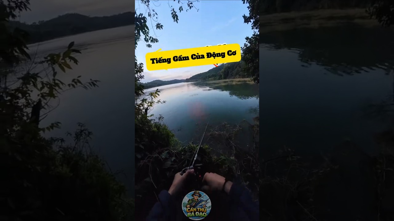 Câu cá sinh tồn tập 1