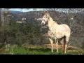 PORTugAL (Rhythms of a Secret Life) HD
