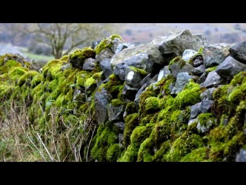 Gerald Finzi - Introit for Solo Violin & Small Orchestra - Op. 6 (Molto Sereno)