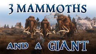 Three MAMMOTHS and a GIANT