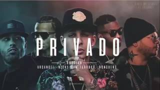 Privado (Audio) - Arcangel, Nicky Jam, Farruko &amp; Konshens
