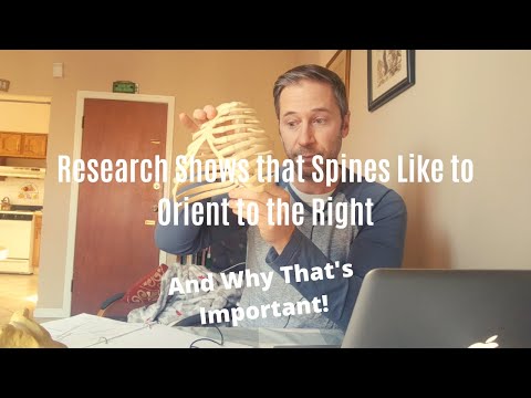 Spinal Rotation Preference to the Right and What it Means For Us.
