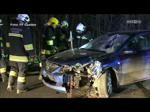 Schranken durchbohrt PKW, Beitrag "Niederösterreich heute" 22.02.2020