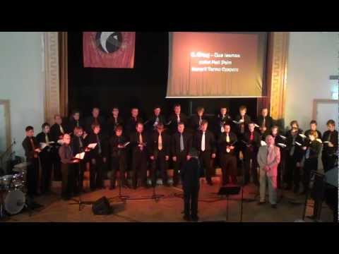 Tallinna Ülikooli Meeskoori Kevadkontsert 2011 3/3