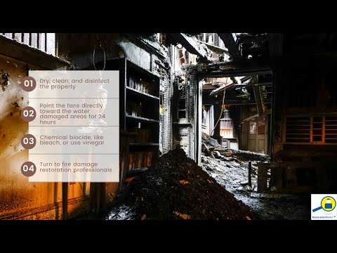 How To Clean Up Fire Damage To Prevent Mold