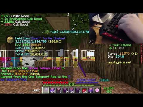 EPIC Island Foraging on Hypixel Skyblock Livestream!!