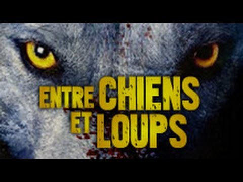 #46 - Entre chiens et loups